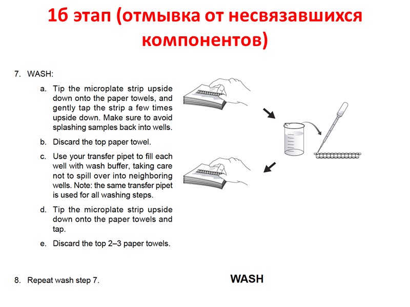 1б этап (отмывка от несвязавшихся компонентов)